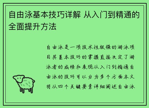 自由泳基本技巧详解 从入门到精通的全面提升方法 自由泳基本技巧详解 从入门到精通的全面提升方法